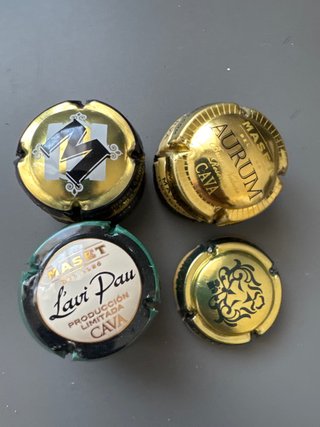 Pack 42: Lote Placas de Cava Maset