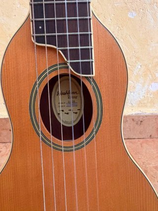 Guitarra Washburn Viaje
