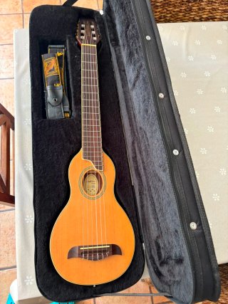Guitarra Washburn Viaje