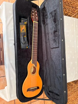 Guitarra Washburn Viaje