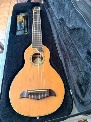 Guitarra Washburn Viaje