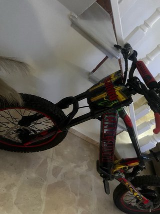 Bicicleta eléctrica de 18 pulgadas