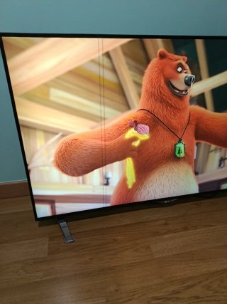 TV LG 55 Pantalla Plana. Se ven dos líneas negras