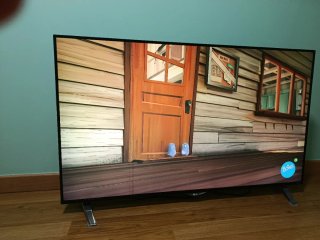 TV LG 55 Pantalla Plana. Se ven dos líneas negras