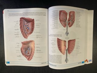 Anatomía humana Atlas