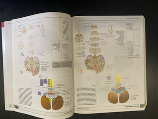 Anatomía humana Atlas