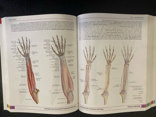 Anatomía humana Atlas