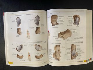 Anatomía humana Atlas