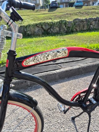 Bicicleta Paseo Santa Cruz