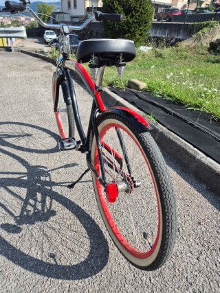 Bicicleta Paseo Santa Cruz