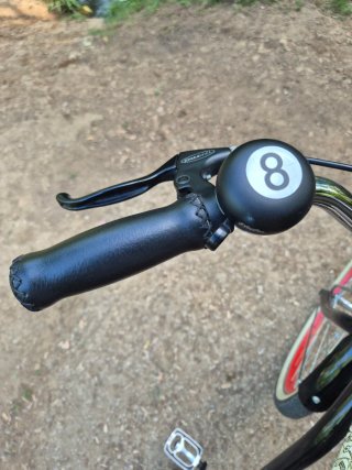 Bicicleta Paseo Santa Cruz
