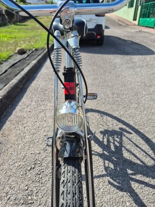 Bicicleta Paseo Santa Cruz