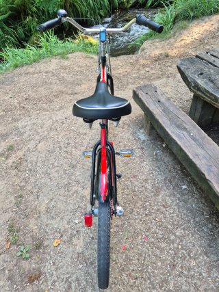Bicicleta Paseo Santa Cruz
