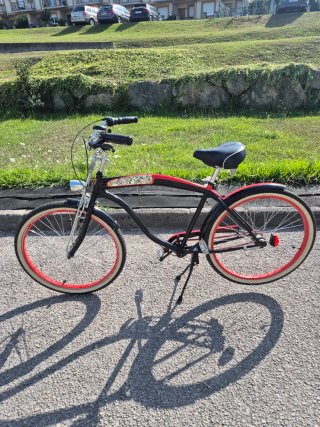 Bicicleta Paseo Santa Cruz