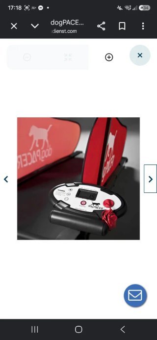 Cinta de correr para perros Dog PACER