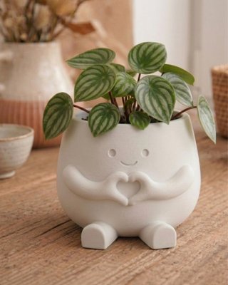 MACETA DECORATIVA 3D – DISEÑO ORIGINAL