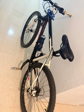 Orbea 27’50 Talla M
