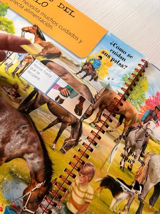 Libros Pop up
