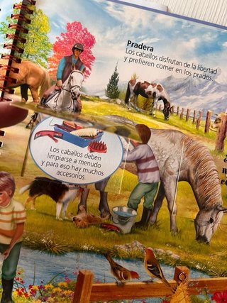 Libros Pop up