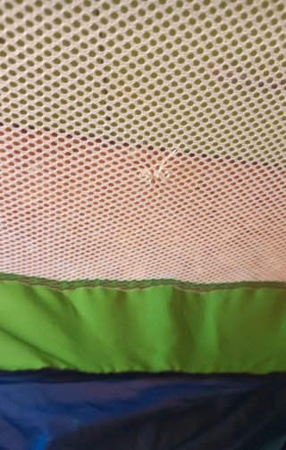 Cabaña de bolas para niños