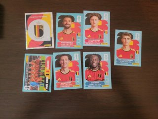 Cambii Cromos Panini Mundial