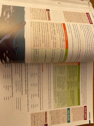 Lengua castellana y literatura, 1 BACH.