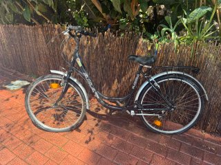 Bicicleta de paseo AMAT Florida