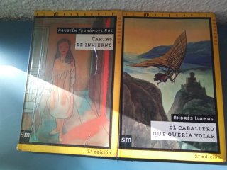 El Navegante, dos libros de literatura juvenil.