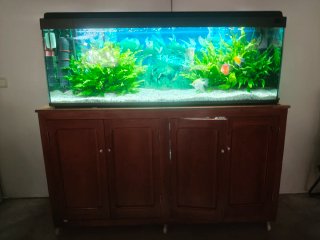 Acuario 300 litros.