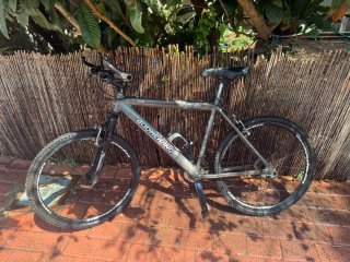 Bicicleta Boomerang Gris