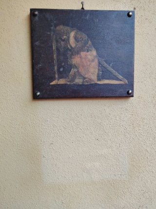 Templare in Ginocchio