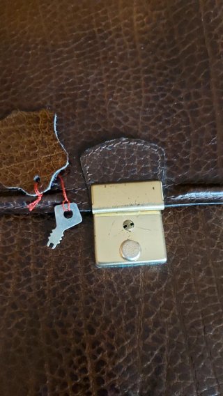 Bolso de piel marrón