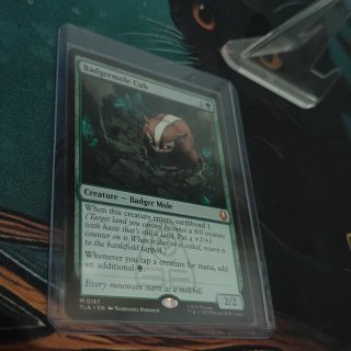 Badgermole Cub - Magic the Gathering MTG