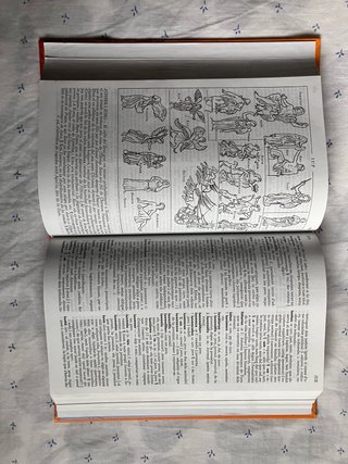 Diccionari il·lustrat llatí-català, català-llatí