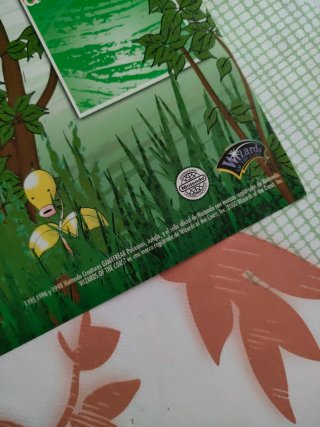 Tapete de Juego Pokémon TCG WOTC 2000