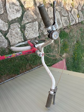 Bicicleta BH Rosa Vintage