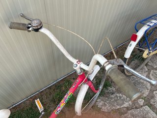 Bicicleta BH Rosa Vintage