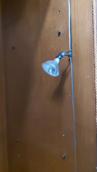 Vitrina de madera antigua con puertas de cristal