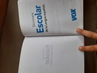 Diccionario Escolar de la Lengua Española