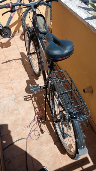 Bici Bjord Avenue