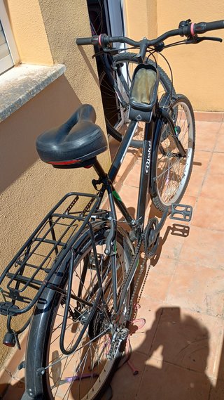 Bici Bjord Avenue