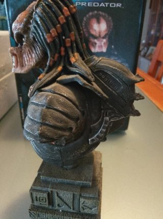 Busto Celtic Predator