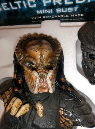 Busto Celtic Predator