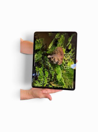 iPad Pro 12,9” M2 1TB + Cellular + Teclado Logitec