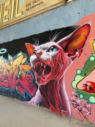 Graffiti muralista