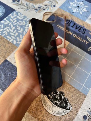 iPhone 13 Pro Max Gris