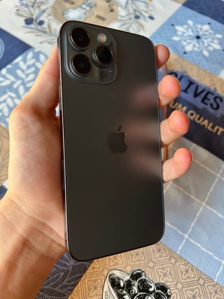 iPhone 13 Pro Max Gris