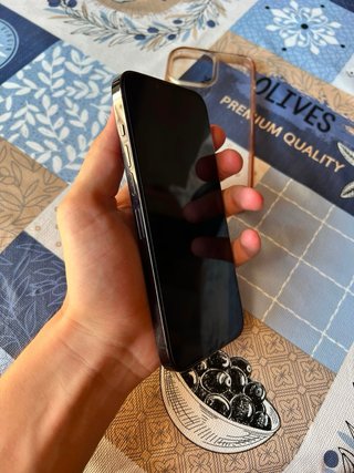 iPhone 13 Pro Max Gris Espacial
