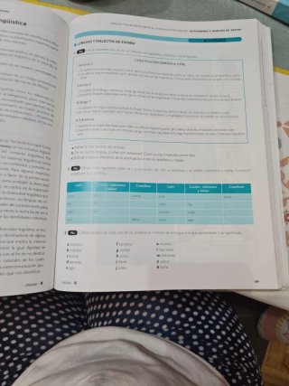 Lengua castellana y literatura 1, Le Bachillerato