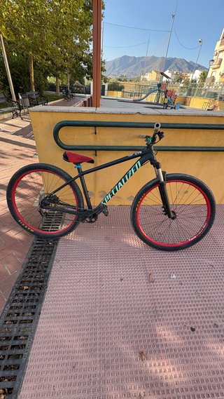 Bicicleta Specialized Rodado 29